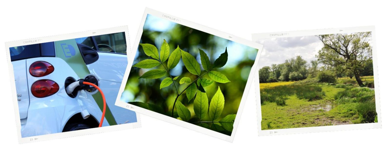 Electric vehicle charging points, more trees and caring for our nature reserves